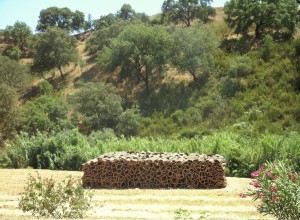 Cork pile